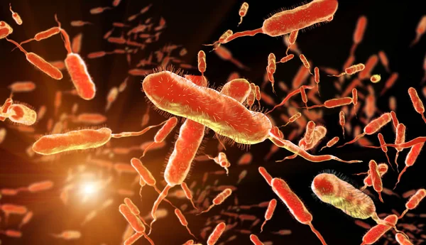 コレラ菌 グラム陰性菌 鞭毛を持つ細菌の イラストレーション — ストック写真