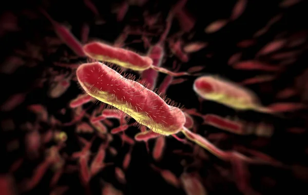 Vibrio Cholerae Gram Negatif Bakteri Bact Çizimi — Stok fotoğraf