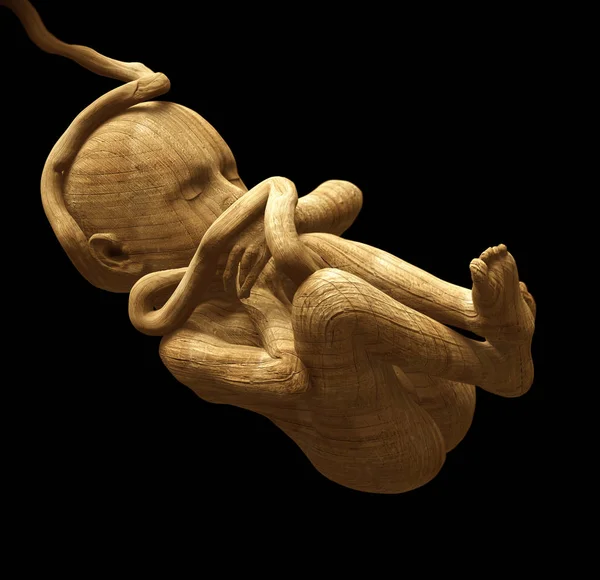 Old Wooden Sculpture Human Fetus — Stock Photo, Image