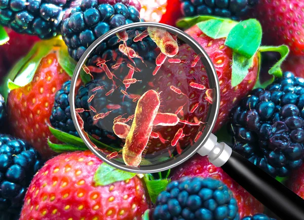 汚染された食品の概念と汚染された食事中毒記号は 危険な有毒細菌による病気をもたらす — ストック写真