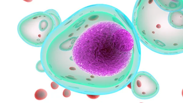Cellules Attaquant Les Cellules Cancéreuses Illustration — Photo