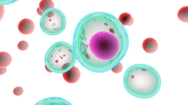 Buňky Útočící Rakovinné Buňky Ilustrace — Stock fotografie