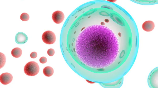 Cellules Attaquant Les Cellules Cancéreuses Illustration — Photo