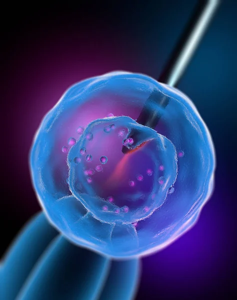 Embrionalne Komórki Macierzyste Terapia Komórkowa Regeneracja Leczenie Choroby — Zdjęcie stockowe
