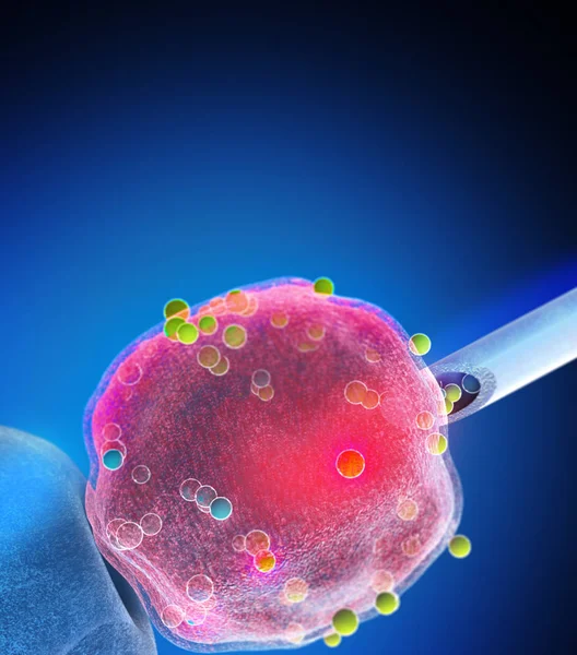 Embryonala Stamceller Cellulära Terapi Förnyelse Sjukdomsbehandling — Stockfoto