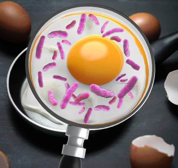 Concept Bacteria Egg Magnified Magnifying Glass Salmonellosis Infection — Stock Photo, Image