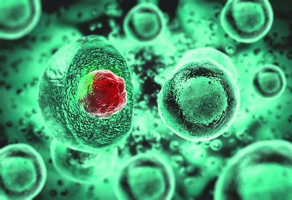 Embryonala stamceller, cellulär terapi, regenerering, sjukdom — Stockfoto