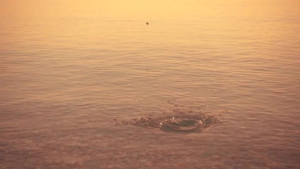 Pierre à mouvement lent sautant sur la surface de l'eau . — Video