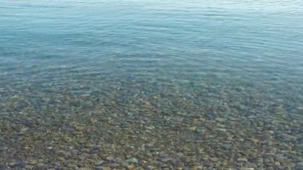 Matin surface d'eau calme .