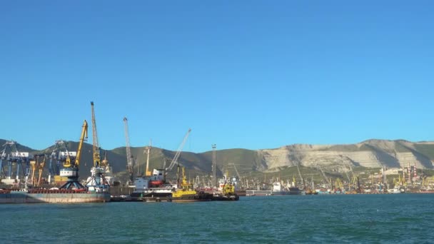 Panoramautsikt över ryska hamnen Novorossijsk. Containerterminal. — Stockvideo