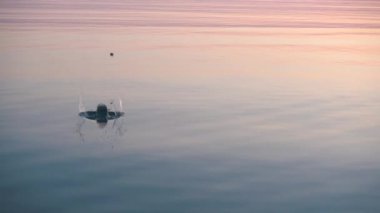 Güzel sakin su üzerinde atlama taşı çevresinde görkemli gündoğumu.