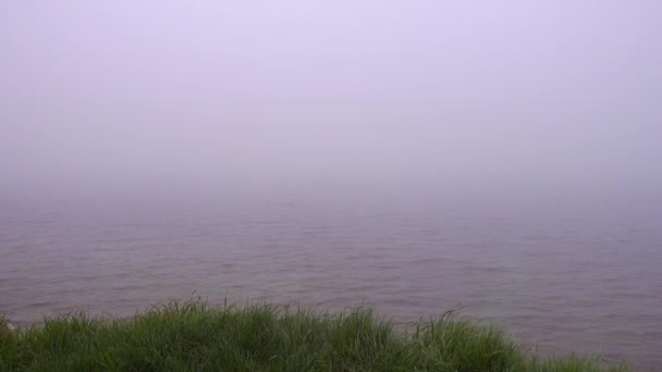 Nyugodt vízfelszín felett sűrű köd. — Stock videók