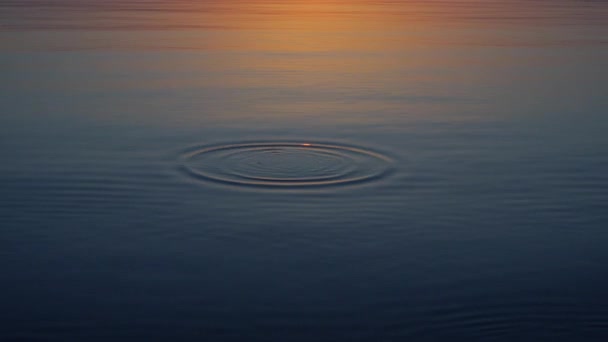 Petite vague à la surface de l'eau calme, coucher de soleil majestueux autour . — Video