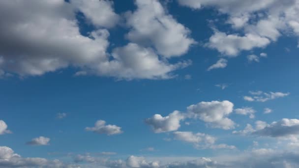 아름 다운 하늘, 아니 새, 흔들림 없음의 고품질 시간 경과. — 비디오