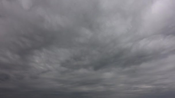 Timelapse van de grijze wolken, professionele schot, geen flikkeren, geen vogels vliegen. — Stockvideo