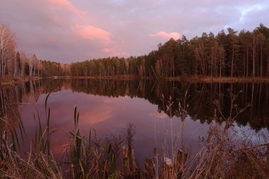 Şaşırtıcı günbatımı güzel Orman Gölü.