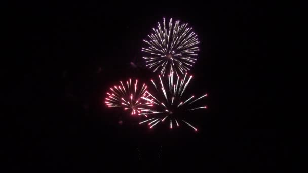 Belos fogos de artifício multicoloridos festivos . — Vídeo de Stock