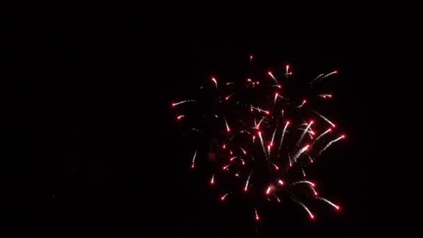 Beaux petits feux d'artifice . — Video