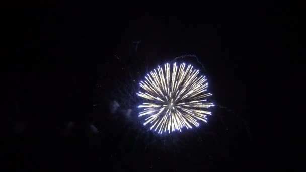 Fogos de artifício bonitos, final . — Vídeo de Stock