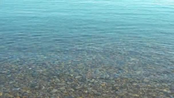 Прозрачная спокойная тропическая вода, зацикленное видео — стоковое видео