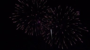 Gece gökyüzünde güzel festival çok renkli havai fişek.