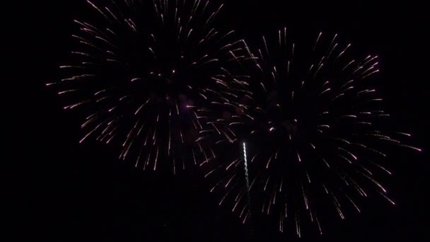 Belos fogos de artifício multicoloridos festivos nocéu noturno . — Vídeo de Stock