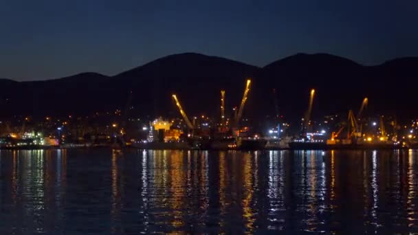 Timelapse, cargo and oil terminal in large port. — Stock Video