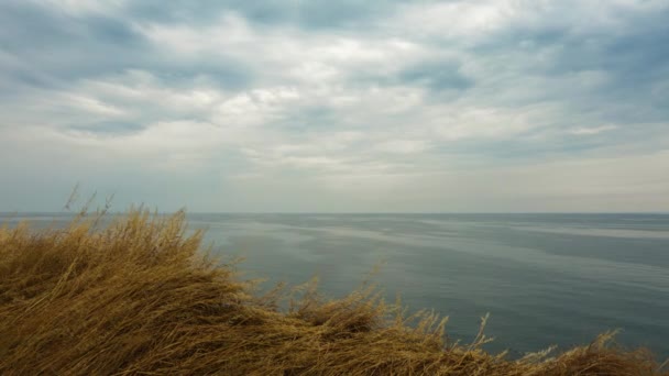 Ocean op bewolkte dag. Professionele time-lapse, geen flikkeren, geen vogels. — Stockvideo