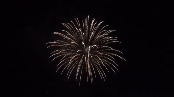 Hermoso saludo festivo en el cielo nocturno . — Vídeos de Stock