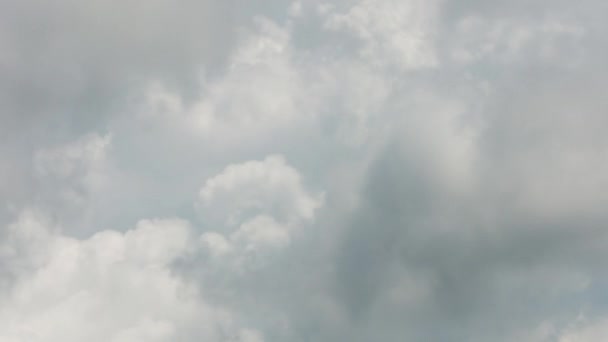 雷雲、フリッカーなしのない鳥の質的な時間経過. — ストック動画