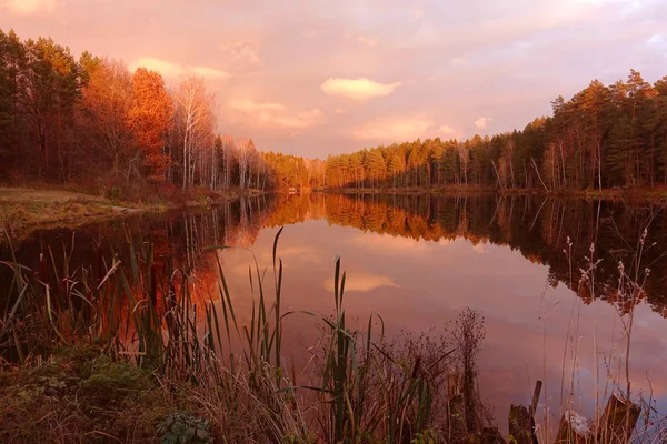 Όμορφη Forest Lake Και Καταπληκτική Ανατολή Του Ηλίου Στη Γύρω — Φωτογραφία Αρχείου