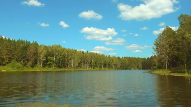 Beautiful forest lake at sunny day, small waves on water surfacet. — Stock Video