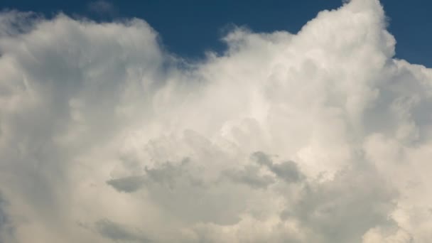 Donder wolken stijgen, hoge kwalitatieve 4 k time-lapse, geen flikkering. — Stockvideo