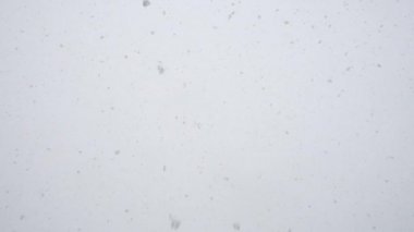 Kış gününde, nitel yavaş düşen kar.