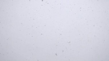 Sorunsuz video, kış gününde düşen kar pul.