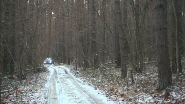 Auto en bosque de invierno . — Vídeos de Stock