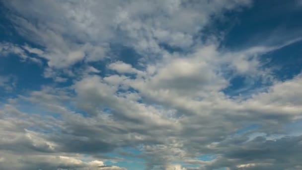 空と雲、フリッカーなしない鳥. — ストック動画