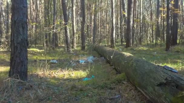 Basura en el bosque, basura . — Vídeos de Stock