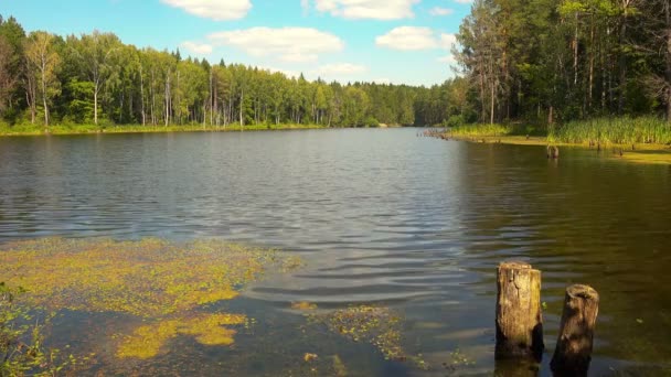 Mooie bos meer en hemel, naadloze. — Stockvideo