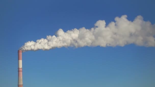 Tidsfördröjning, en pipa och rök mot blå himmel. — Stockvideo