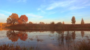 Doğada güzel sonbahar, sakin su ve ağaçlar.