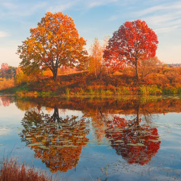 Incroyable paysage d'automne, lac forestier avec réflexion . — Photo