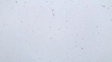 Taze beyaz kar düşen Looped yavaş çekim görüntüleri.