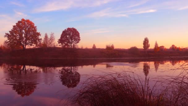 Prachtige zonsopgang boven bos meer, kleine golven. — Stockvideo