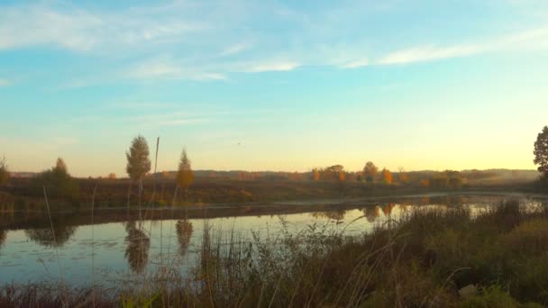 Canard survole un magnifique lac forestier, automne, automne . — Video