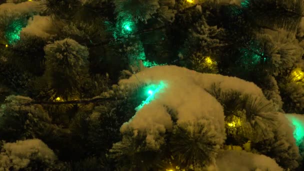 Mehrfarbige Girlande am schönen Weihnachtsbaum. — Stockvideo