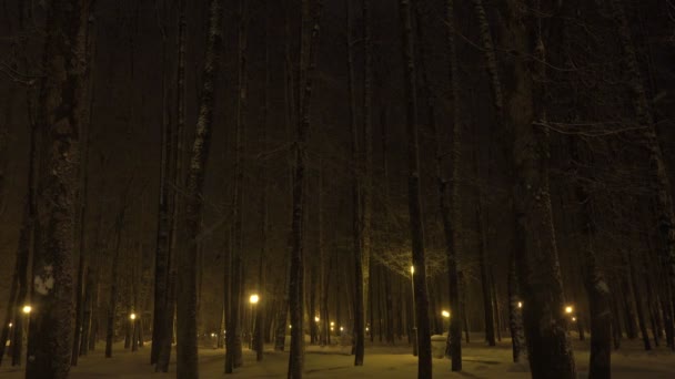 Snöfall i vackra Winter City Park. — Stockvideo