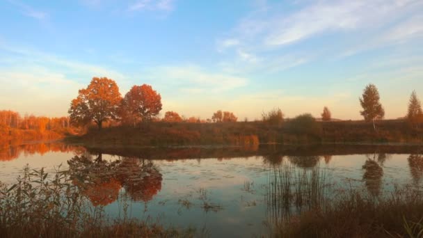 Piękna jesień, spokojne leśne jezioro. — Wideo stockowe