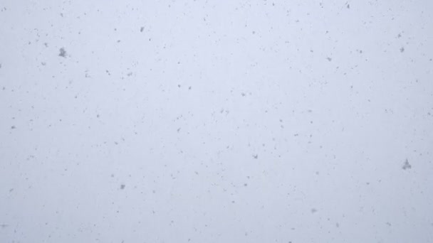 Петлі безшовні кадри свіжого білого снігу падають . — стокове відео