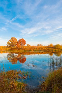 Şaşırtıcı sonbahar manzara, orman ve gökyüzü su, doğa yansıyan.